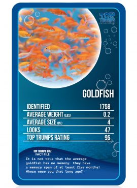 Freshwater Fish Top Trumps